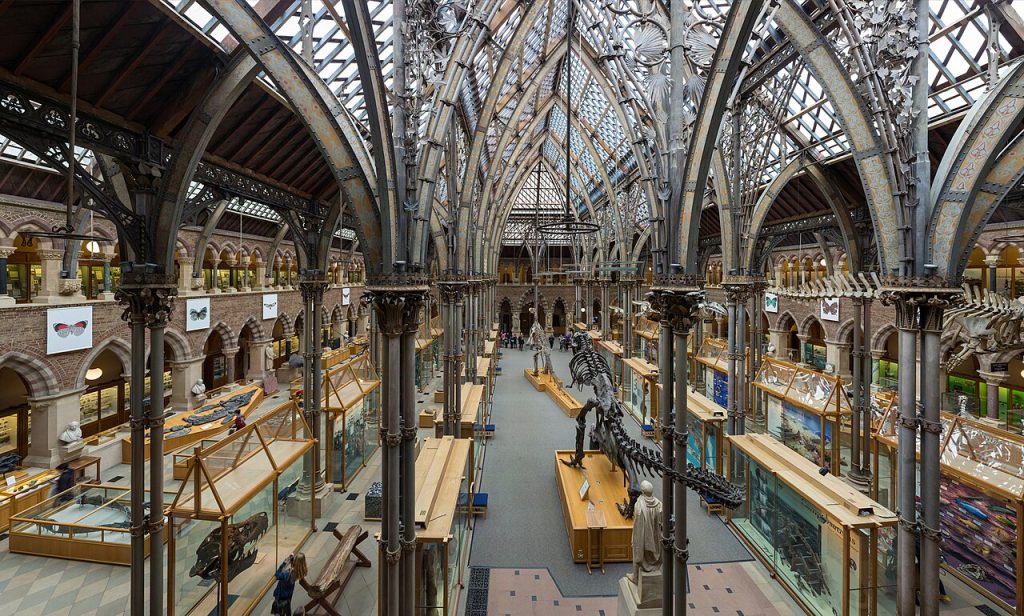 Oxford University: Museum of Natural History